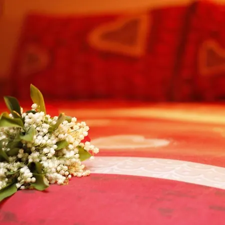 Baita De Anna Apartment VALDIDENTRO